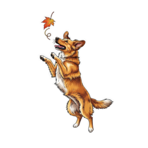 Dog Vinyl Decal Sticker – Waterproof
